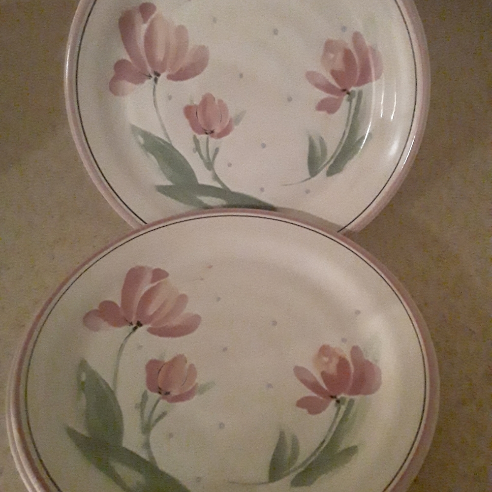 4 Piece Floral Dinner Plate Set
